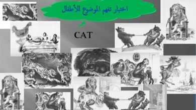 اختبار تفهم الموضوع للاطفال cat pdf
