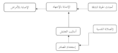 كوبازا و الصلابة النفسية